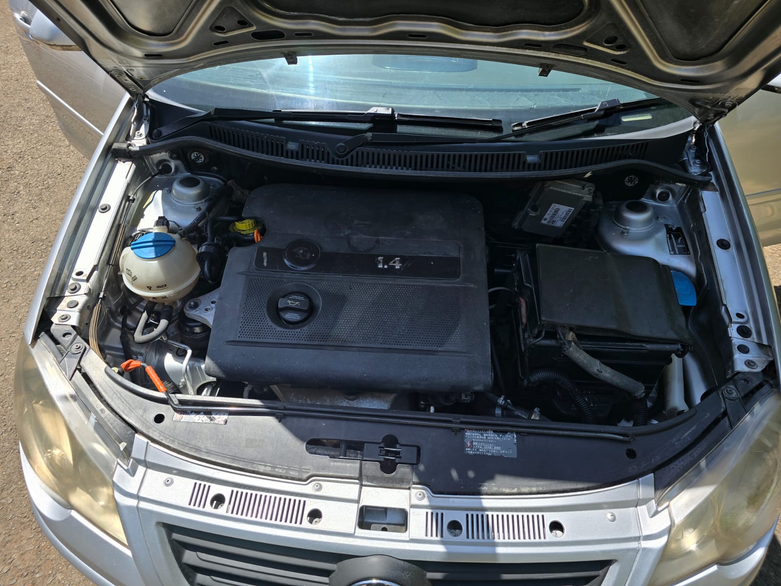 VOLKSWAGEN  VOLKSWAGEN POLO